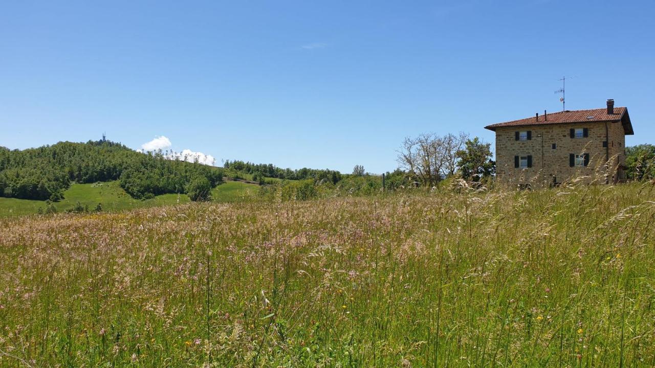 Agriturismo Il Casone 산 베네데토 발 디 삼브로 외부 사진