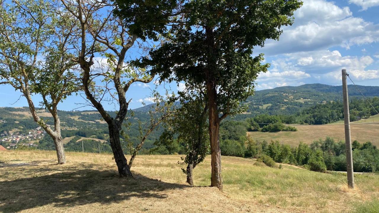 Agriturismo Il Casone 산 베네데토 발 디 삼브로 외부 사진