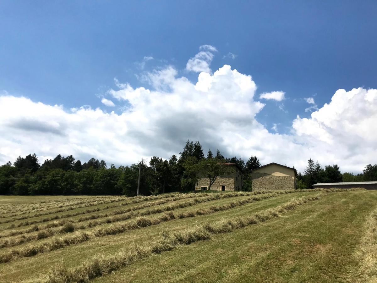 Agriturismo Il Casone 산 베네데토 발 디 삼브로 외부 사진