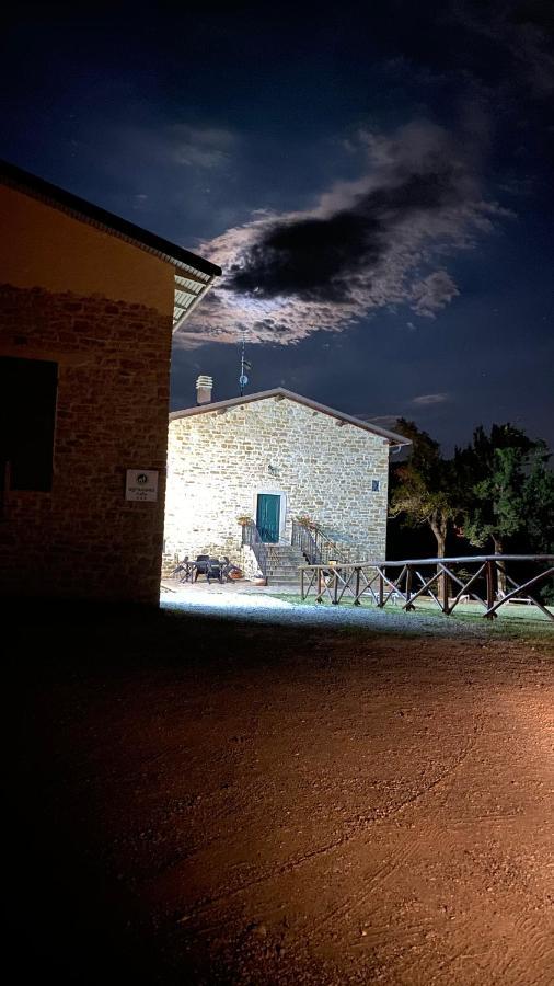 Agriturismo Il Casone 산 베네데토 발 디 삼브로 외부 사진