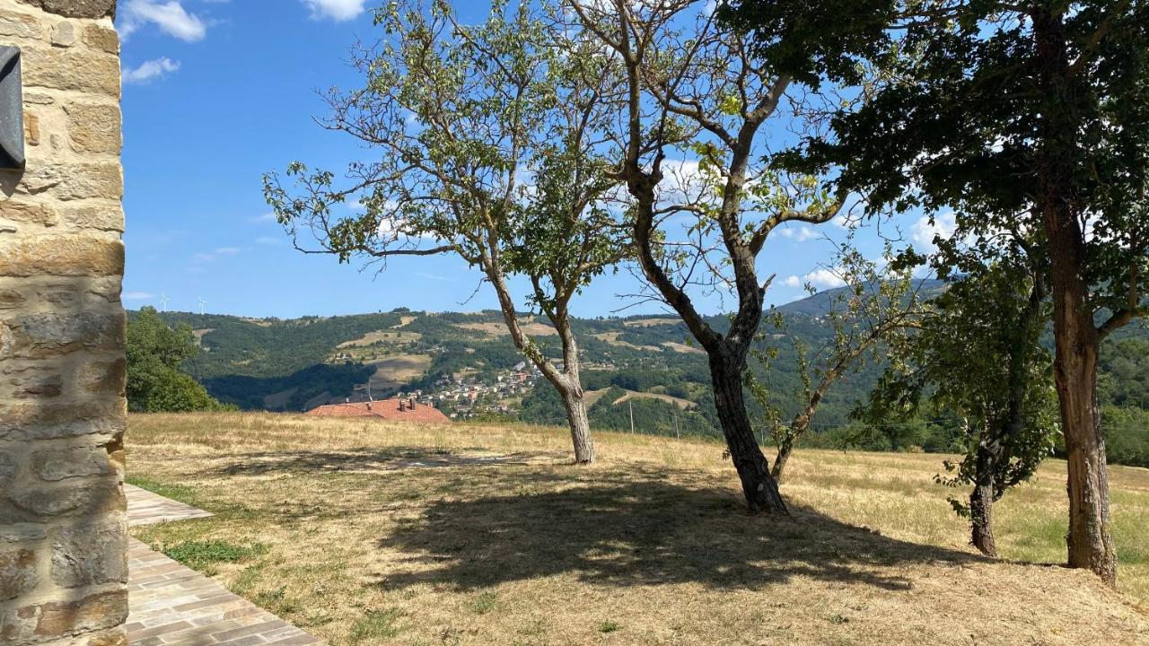 Agriturismo Il Casone 산 베네데토 발 디 삼브로 외부 사진