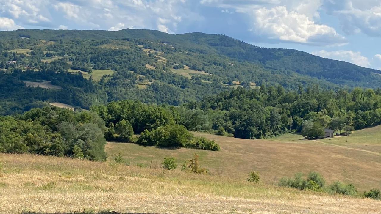 Agriturismo Il Casone 산 베네데토 발 디 삼브로 외부 사진