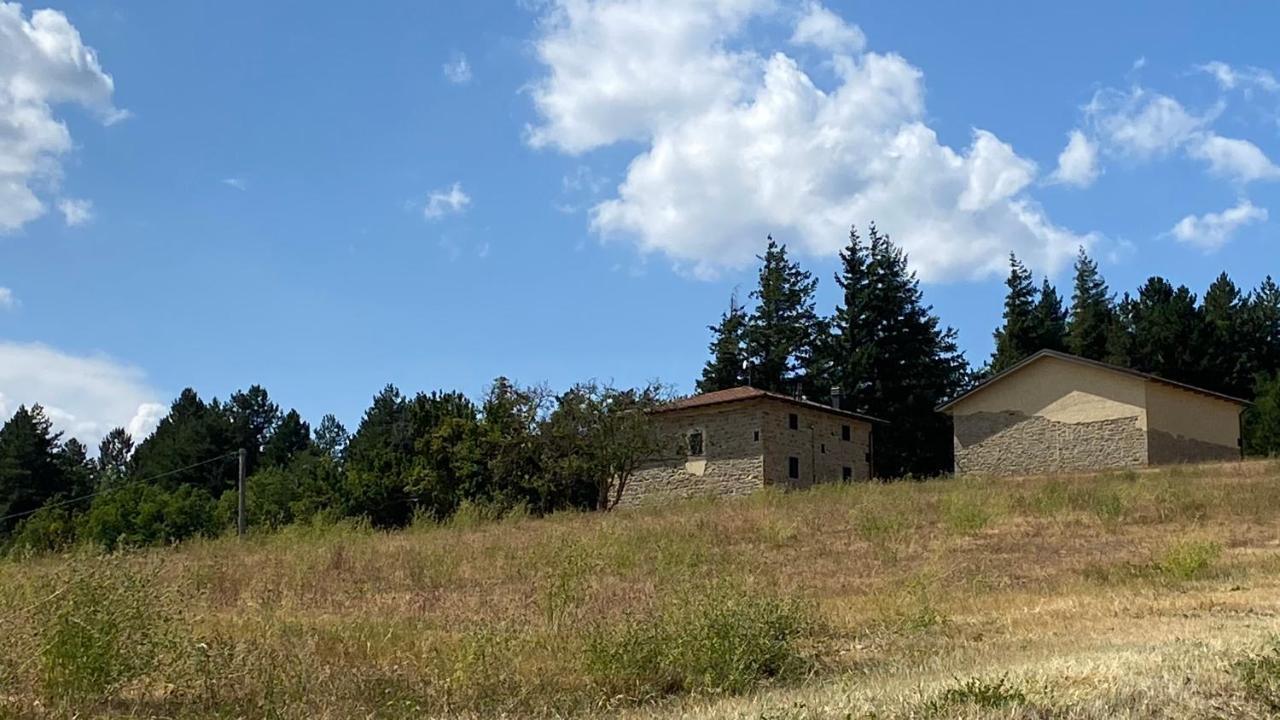 Agriturismo Il Casone 산 베네데토 발 디 삼브로 외부 사진