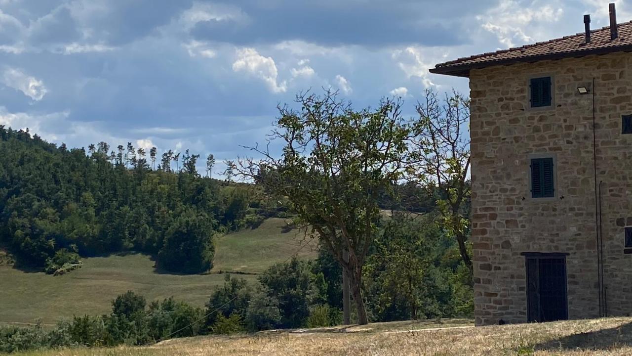 Agriturismo Il Casone 산 베네데토 발 디 삼브로 외부 사진