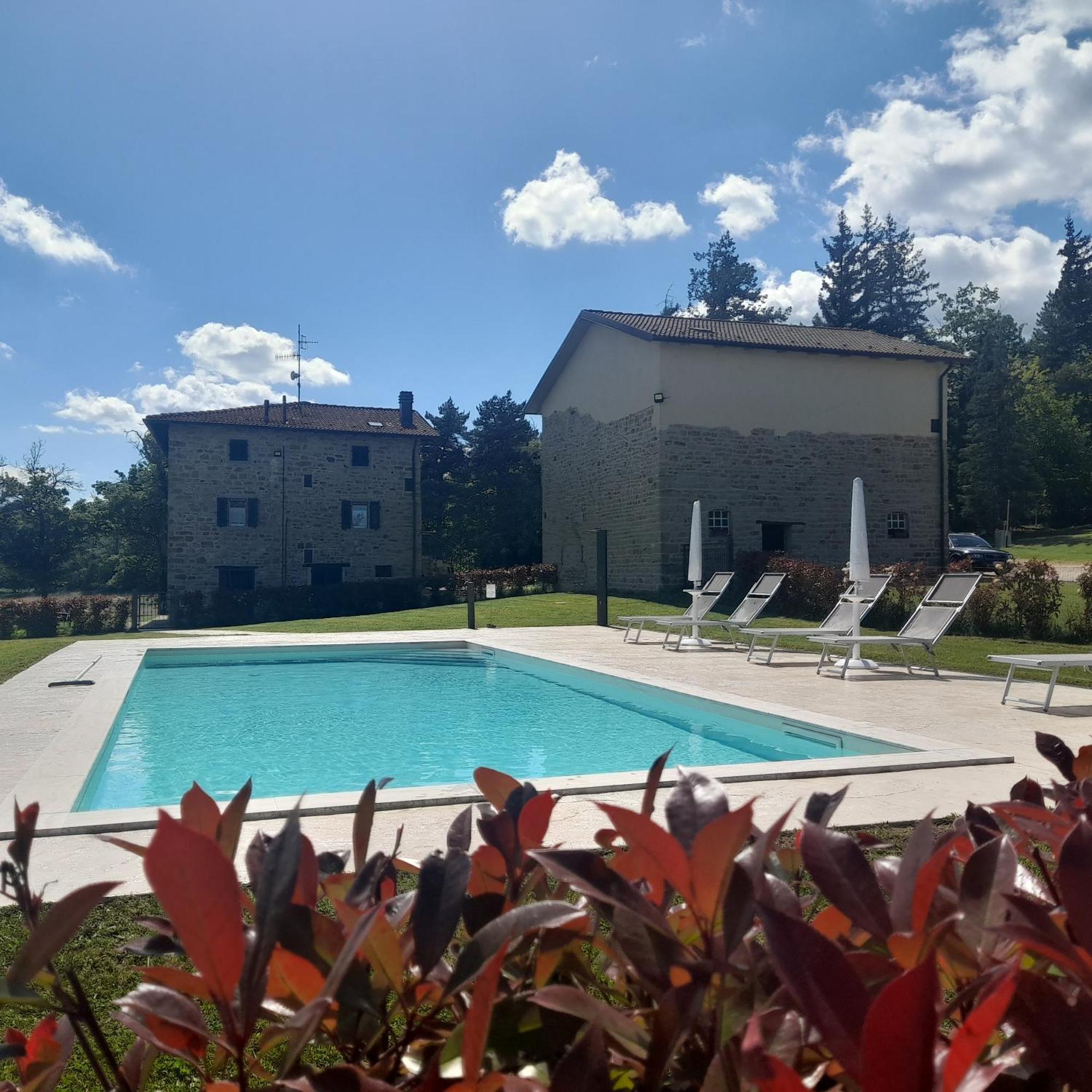 Agriturismo Il Casone 산 베네데토 발 디 삼브로 외부 사진